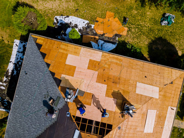 Best Roof Repair Services  in Ingram, TX