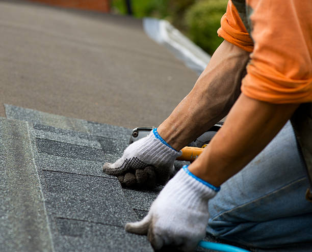 Best Storm Damage Roof Repair  in Ingram, TX