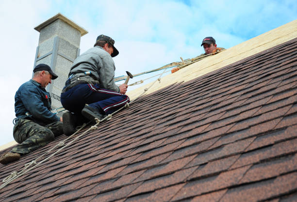 Best Roof Leak Repair  in Ingram, TX