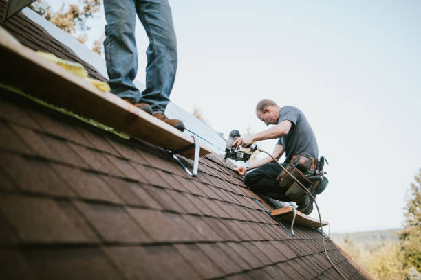 Best Roof Gutter Cleaning  in Ingram, TX